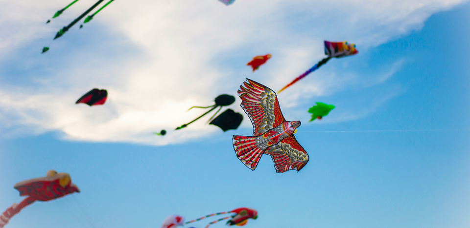 flying kite image
