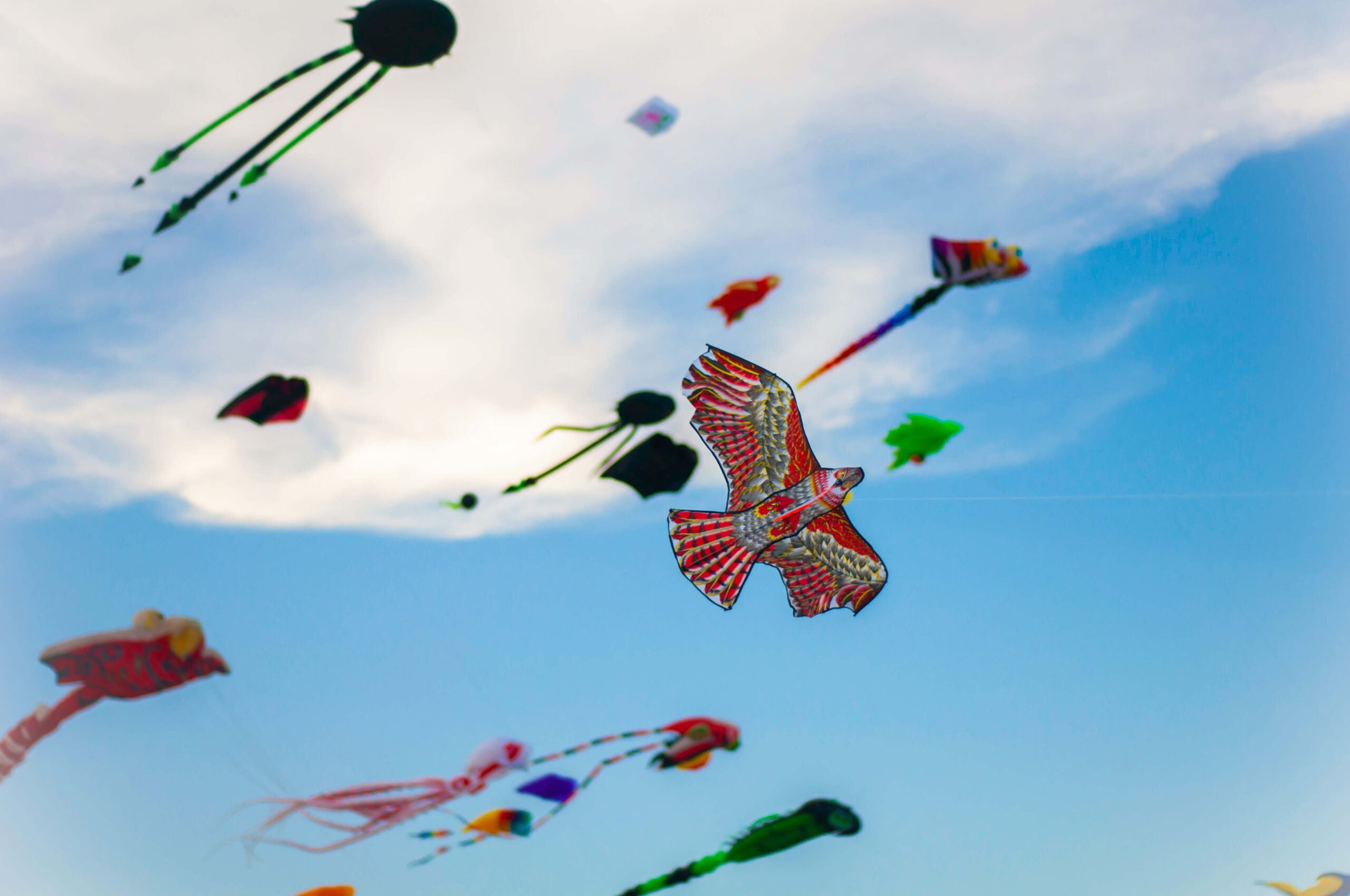 Colorful kites soaring against a blue sky, symbolizing opportunities and a brighter future with MitoKhon.