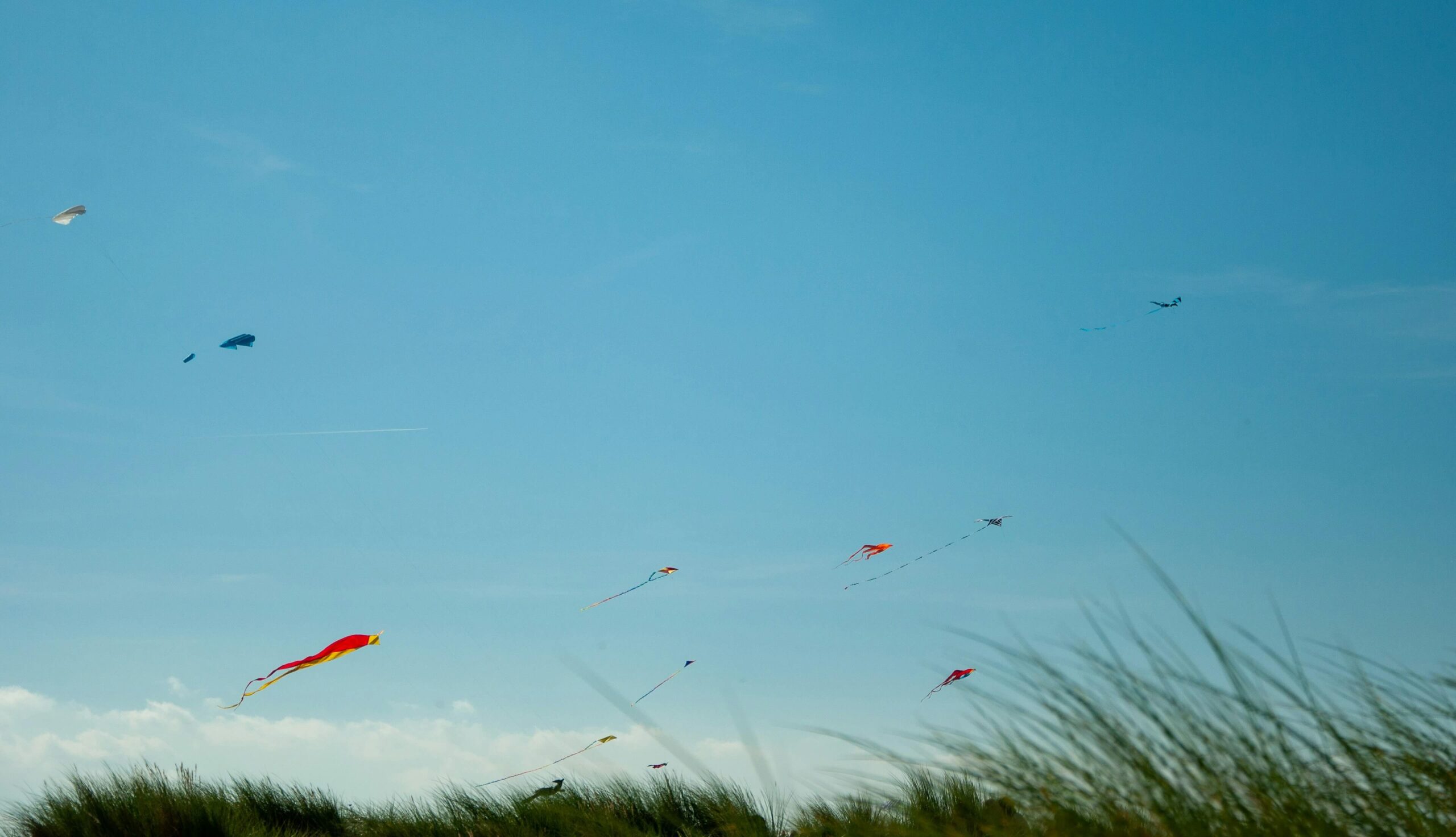 Kites flying in a blue sky, symbolizing connection and collaboration in MitoKhon's approach to healthcare leadership.